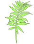 Mahana Fresh